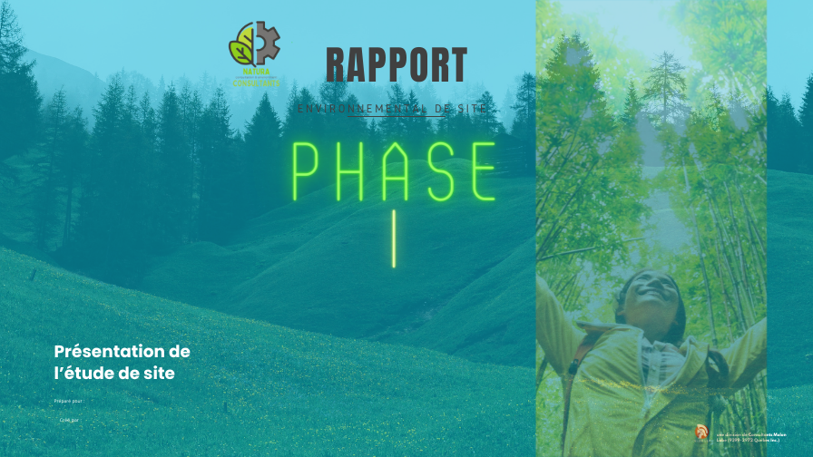 RAPPORT environnementaux